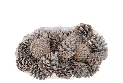 Nature Austrian Pinecone White 1kg